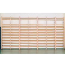 Double school gymnastic ladder with a certificate