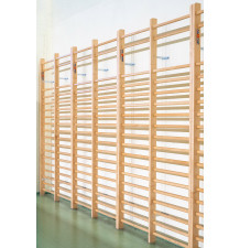 Single school gymnastic ladder with a certificate